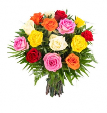 Roses all colors Mirella Lebanon